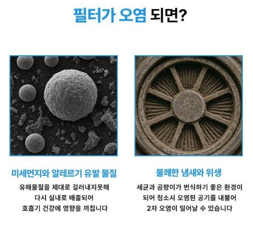 다이슨 V15 디텍트 헤파 필터 제품사진3