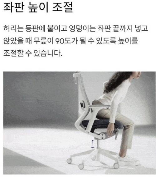 시디즈 T50 컴퓨터 책상 의자 럼버서포트 조절 요통 방지 세팅 정보 4 시디즈 T50 의자 제품사진4