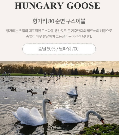 구스다운 이불 비교 제품사진4