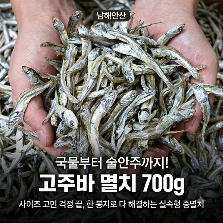 조림 국물부터 안주까지, 남해안 고주바멸치 700g 요리 손질 추천