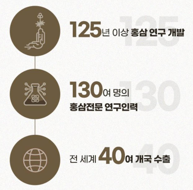 정관장 고려홈삼정 제품사진3