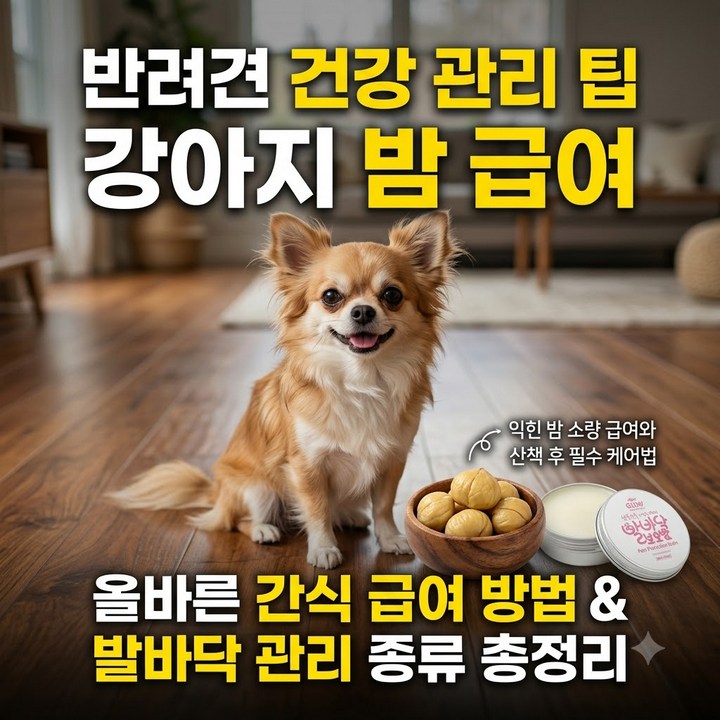 강아지 위생과 미용을 위한 밤 급여, 발바닥 케어 종류와 필요성 정리