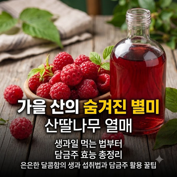 산딸나무 열매, 담금주 맛과 효능 식용법 총정리