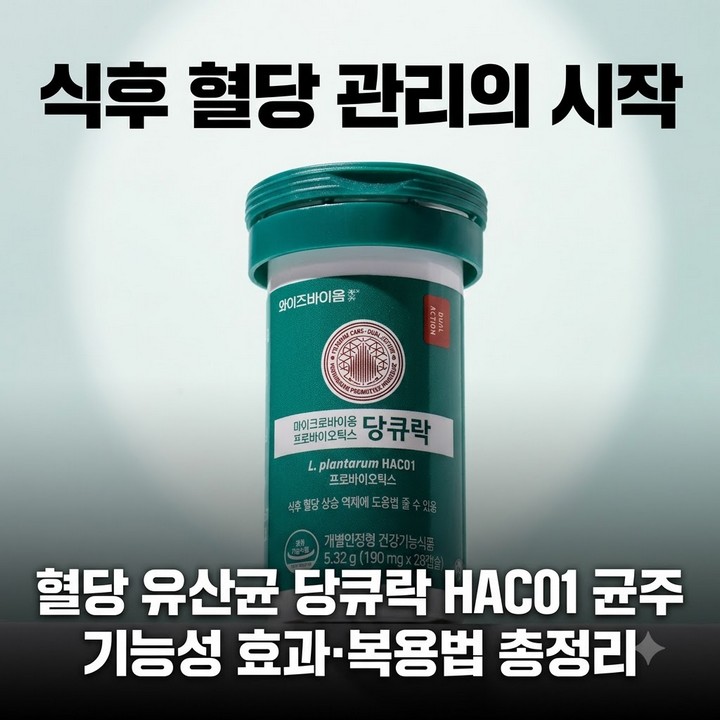혈당 유산균 당큐락 6개월 효과 복용법 총정리