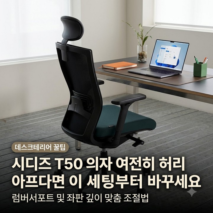 시디즈 T50 컴퓨터 책상 의자 럼버서포트 조절 요통 방지 세팅 정보