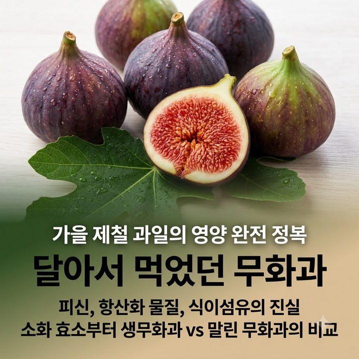 제철 무화과 효능, 피신 황산화 식이섬유 총정리