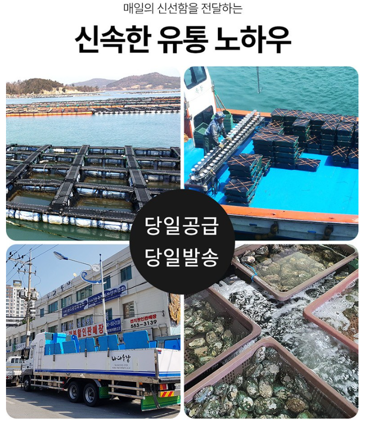산지직송 완도활전복 제품사진4