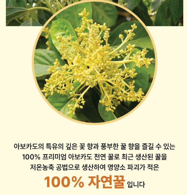 아보카도꿀 6개 250g 제품사진4