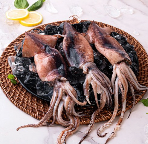 수산천하 더 커진 국내산 손질 통오징어 제품사진1