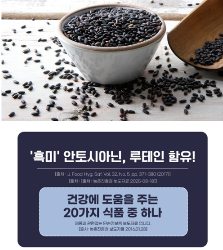 이푸른 진도 찰흑미 1kg 5개, 잡곡밥 습관 쉽게 시작하기 (홈쇼핑 추천) 4 이푸른 진도 찰흑미 1kg 5개 제품사진4