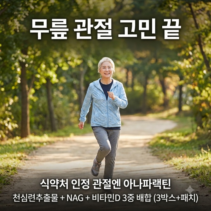 관절 건강 신소재, 관절엔 아나파랙틴 3박스+패치 세트 효과 사용법 영양제 부작용