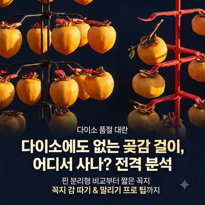 곶감걸이 다이소에도 없어서 못 산다는 분들 많던데, 실제로 파는 곳 정리